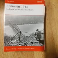 Remagen 1945 : endgame against the Third Reich
