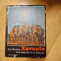 Xavante fr&aring;n sk&ouml;na Rio till de d&ouml;das flod