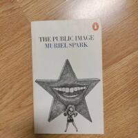 The Public Image