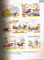 The Rainbow Dictionary