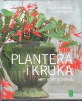 Plantera i kruka