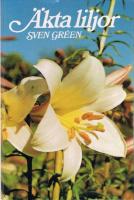 &Auml;kta liljor
