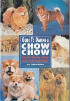 Guide to owning a Chow Chow