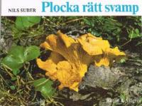 Plocka r&auml;tt svamp