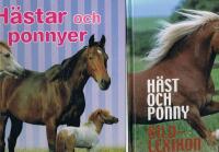 Hästar och ponnyer / Häst och ponny Bildlexikon