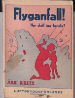 Flyganfall! Hur ska jag handla?