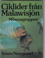 Ciklider fr&aring;n Malawisj&ouml;n : Mbunagruppen