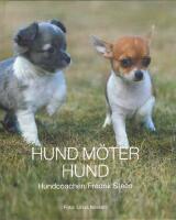 Hund m&ouml;ter hund