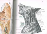 Atlas der Anatomie des Menschen Del 1 - 3