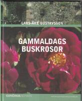 Gammaldags buskrosor