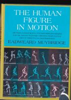 The human figure in motion : a source book of sequential action images by a master photographer