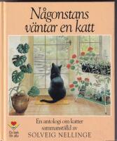 N&aring;gonstans v&auml;ntar en katt