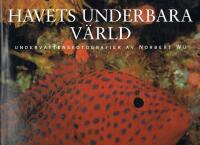 Havets underbara v&auml;rld