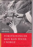 Forsteininger man kan finne i Norge