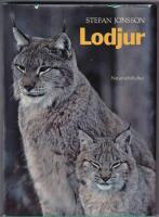 Lodjur