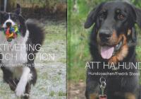Att ha hund / Aktivering lek och motion