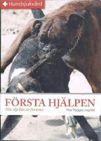 F&ouml;rsta hj&auml;lpen : N&auml;r olyckan &auml;r framme