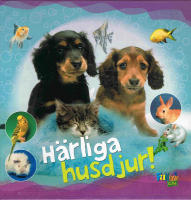 H&auml;rliga husdjur!