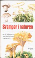 Svampar i naturen