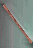 Det Nittonde &aring;rhundradet 