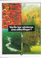 Varf&ouml;r har v&auml;xterna sina olika f&auml;rger?