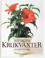 Att sk&ouml;ta krukv&auml;xter