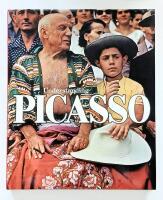 Understanding Picasso