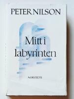 Mitt i labyrinten : ess&auml;er och fantasier