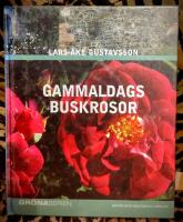 Gammaldags buskrosor