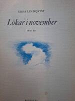 L&ouml;kar i november