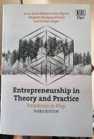 Entrepreneurship in theory and practice - paradoxes in play
