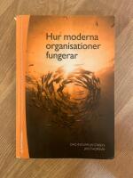 Hur moderna organisationer fungerar
