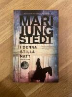 I denna stilla natt