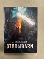 Stormbarn