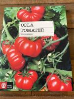 Odla tomater