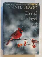 En r&ouml;d liten f&aring;gel i juletid