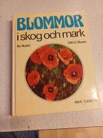 Blommor i skog och mark