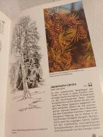 Planzensch&auml;tze der Mainau