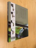 Pedagogisk flugbindning