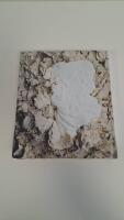 Tartine book no. 3 - modern ancient classic whole