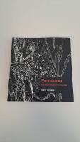 Formulera - bild och projekt i f&ouml;rskolan