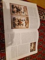 Det skapande rummet : bildutsmyckningen i Gustav III:s paviljong p&aring; Haga : tv&aring; tolkningsv&auml;gar