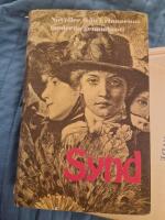 Synd : noveller av det moderna genombrottets kvinnor