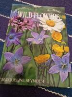 Wildflowers 