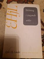 Bildning i 20 seklet