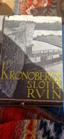 Kronobergs slottsriun