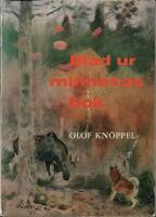 Blad ur minnenas bok