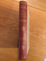 Den allvarsamma leken