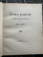 Stora Karls&ouml;: En bok om hafvets f&aring;glar (1:a upplagan, 1915) - Inbunden