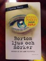 Bortom ljus och m&ouml;rker